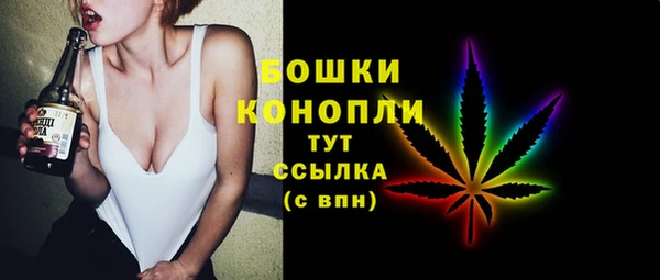 mix Богородицк