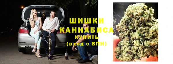 mix Богородицк